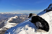 RESEGONE innevato e ‘Porta del Palio’ ad anello da Fuipiano Valle Imagna il 16 febbraio 2019- FOTOGALLERY